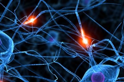 Ingerek a neuronokban Ingerek a neuronokban